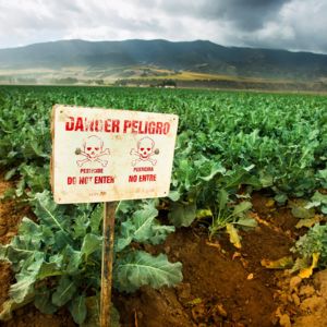 Danger pesticides sign in a field / Pgiam istock