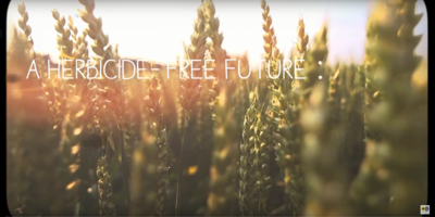 Herbicide-free future
