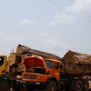 Logging trucks