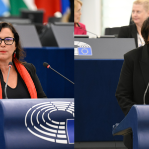 Cuba: EFA MEPs demand Human rights guarantees and cond