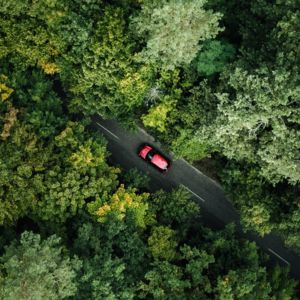 Car driving nature