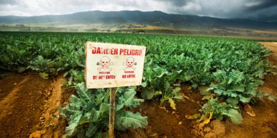 Danger pesticides sign in a field / Pgiam istock