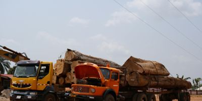 Logging trucks