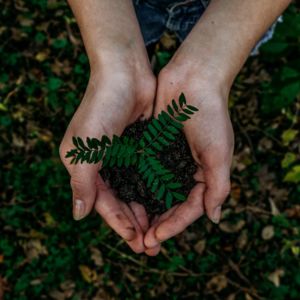 European Parliament poised to recognize ecocide