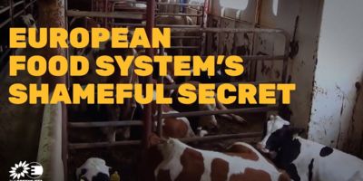 European food systems shameful secret