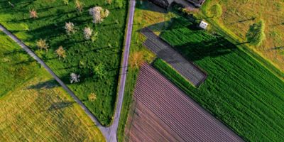 farmland