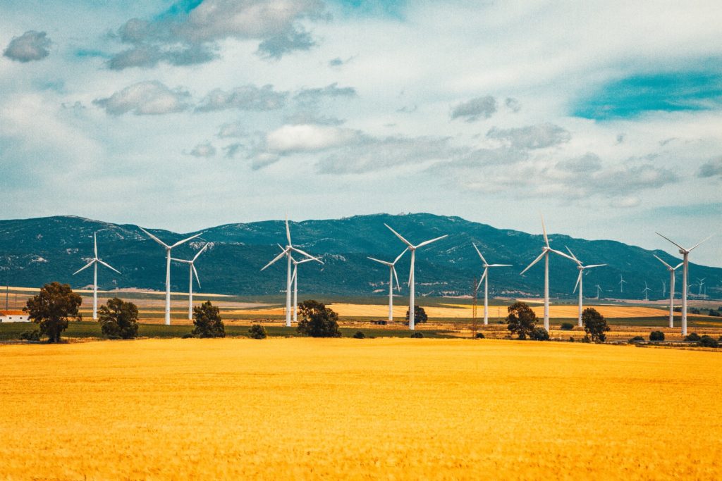 Wind turbines in a field/ CC0 raimond-klavins