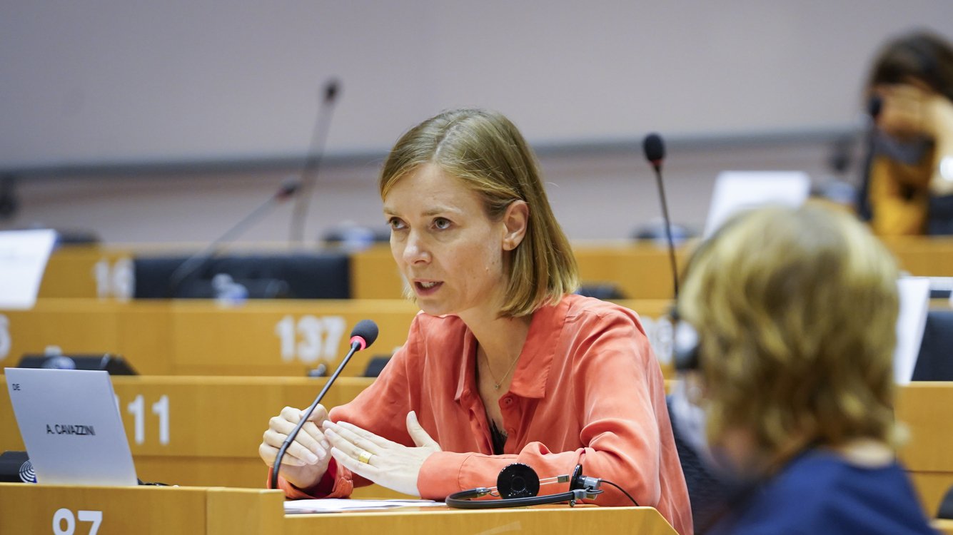 The Greens/EFA group has just chosen Anna Cavazzini as candidate for ...