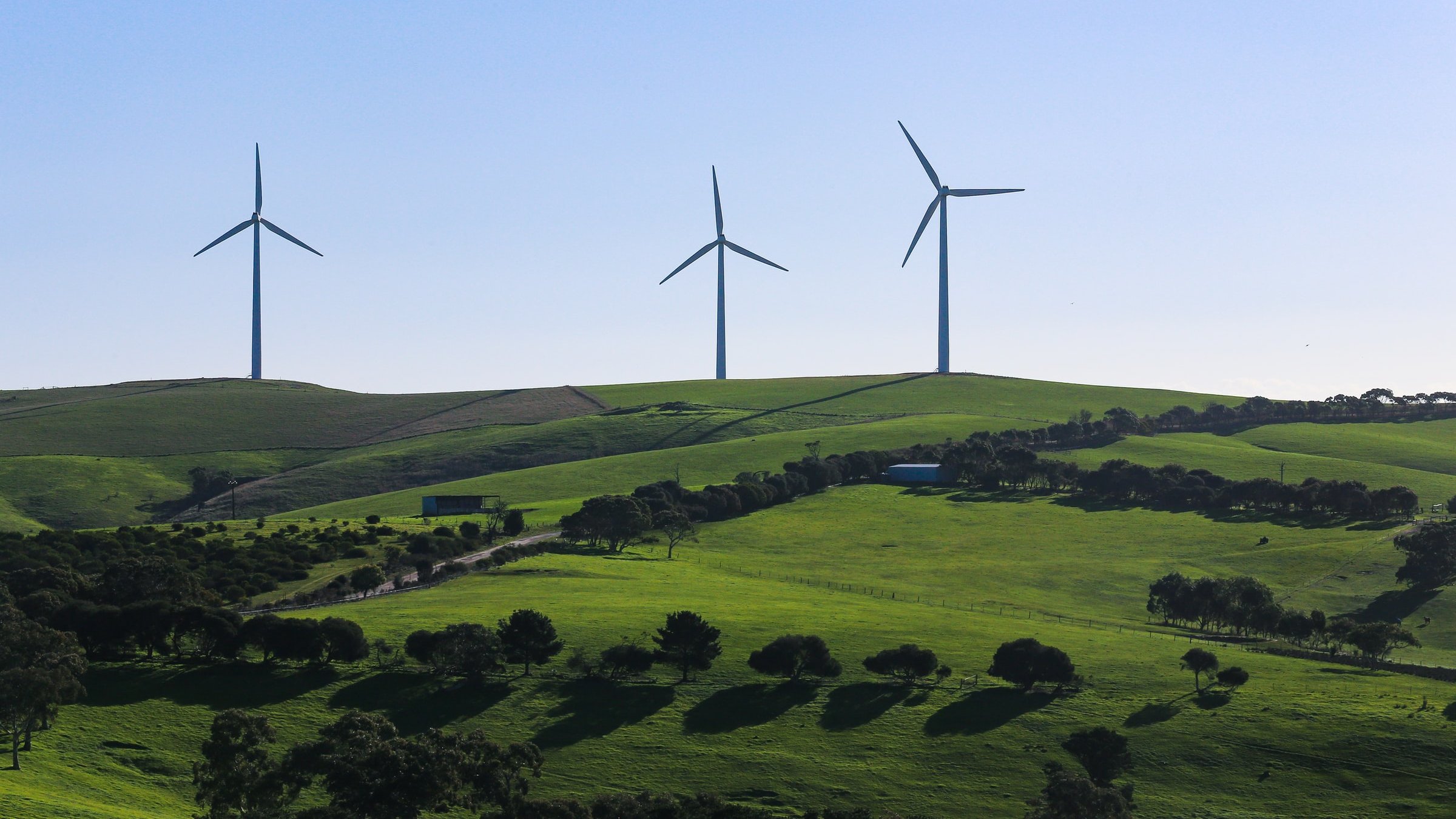 Safeguarding the renewable energy directive (RED II) Greens/EFA